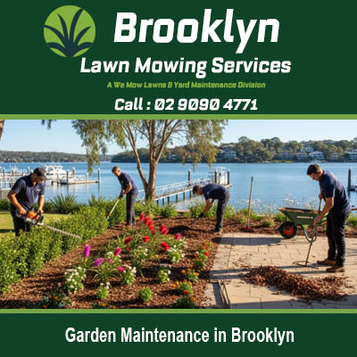 Garden maintenance in Brooklyn NSW with team of landscapers working on garden beds and plants