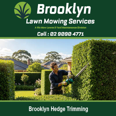 Brooklyn hedge trimming specialist maintaining perfectly manicured topiary and shrubs