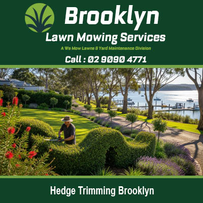Professional hedge trimming services in Brooklyn New South Wales featuring manicured ornamental garden
