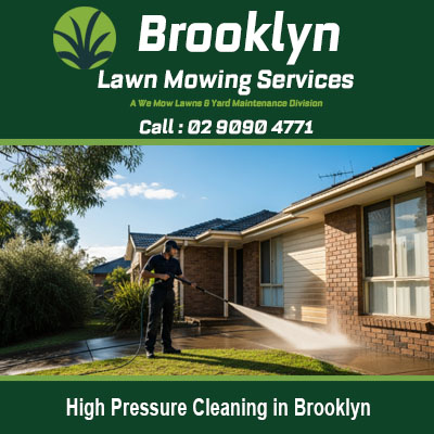 High pressure cleaning in Brooklyn NSW with professional washing exterior house walls and gutters