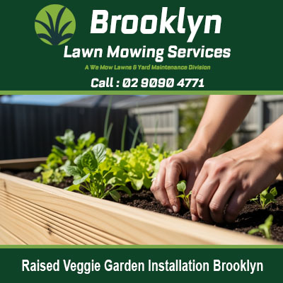 Raised veggie garden installation Brooklyn NSW with gardener planting fresh vegetables in timber raised bed