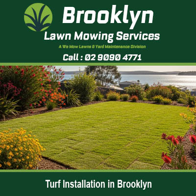 Turf installation in Brooklyn NSW displaying lush newly laid lawn with established garden surrounds